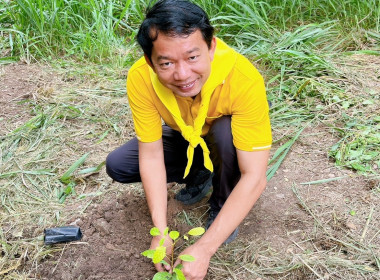 กิจกรรมปลูกต้นไม้เฉลิมพระเกียรติพระบาทสมเด็จพระเจ้าอยู่หัว ... พารามิเตอร์รูปภาพ 21